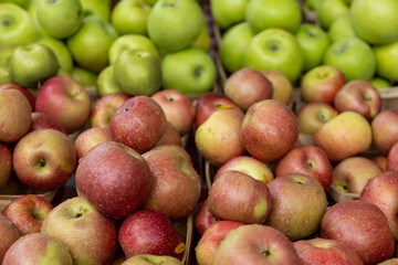 Red and green apples
