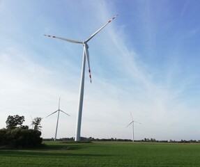 wiatraki © Anna