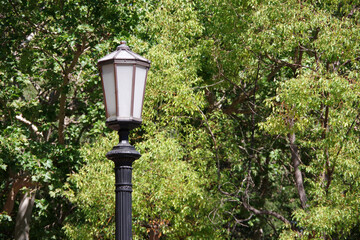 Upper part of an older street lamp in front of green trees in summer