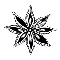 Vector Drawing of Anise Star. Hand drawn black illustration of Spice on white isolated background for icon