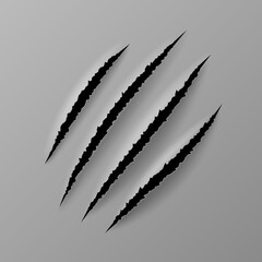 Realistic claw scratches. Wild animal paw trace texture on flat surface isolated on gray background