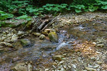 Sections of a mountain river, walking along the riverbed on a sunny summer day, wild places in nature.