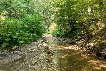 Sections of a mountain river, walking along the riverbed on a sunny summer day, wild places in nature.
