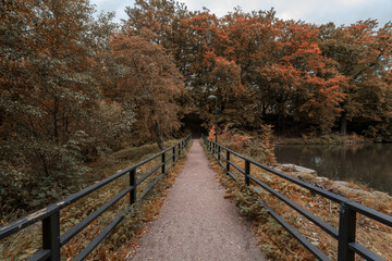 Fototapeta na wymiar Walking path in Jordbodalen, a beautiful and popular public park with water in Helsingborg, Sweden.