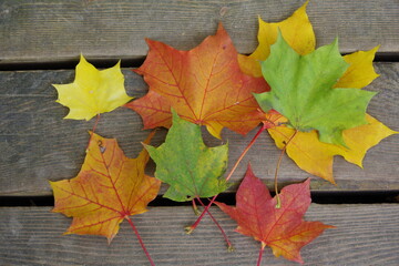 Naklejka na ściany i meble bouquet of autumn fallen leaves