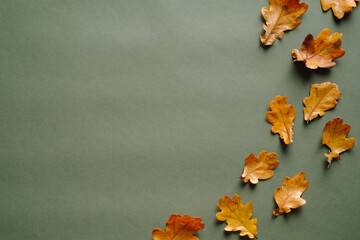 Autumn background with fallen oak leaves. Autumn frame. Happy Thanksgiving day greeting card template. © photoguns