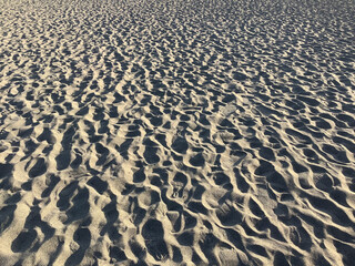 Nakatajima Sand Dunes in Hamamatsu City, where the desert area spreads