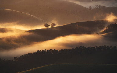 Fototapeta na wymiar Golden, glowing morning sunrise view over rolling hills in Australia, with morning fog/mist/cloud inversion