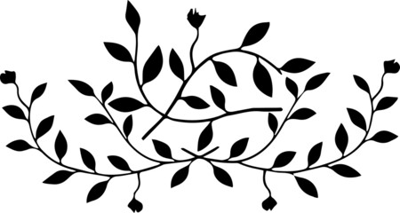 Vector. Elemento decorativo clásico con ramas y hojas en blanco y negro.