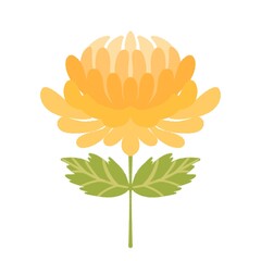 菊の花  イラスト