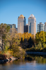 Fototapeta na wymiar Calgary's skyline along the Elbow River in fall