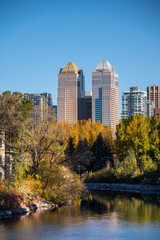 Obraz premium Calgary's skyline along the Elbow River in fall