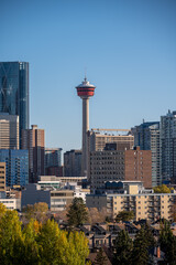 Fototapeta na wymiar Calgary's urban downtown in autumn