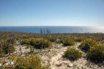 Cape Borda 18 months after the bushfires on Kangaroo Island, South Australia