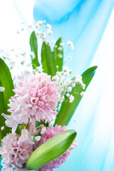 Bouquet of pink Hyacinth, green leaves, little white flowers of Gypsophila