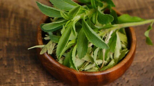 Stevia rebaudiana.Dry and fresh stevia in a wooden round cup on a wooden table.Organic natural low calorie sweetener. High quality 4k footage