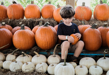 pumpkin patch 2021 southern hill farms 