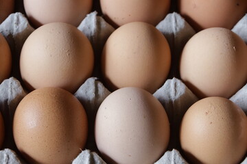selective focused : rows of chicken eggs that form a beautiful pattern