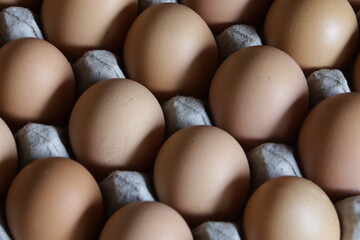 selective focused : rows of chicken eggs that form a beautiful pattern