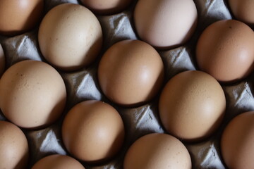 selective focused : rows of chicken eggs that form a beautiful pattern