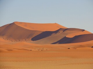 Fototapeta na wymiar Curving Dunes in the Heart of the Namib Desert
