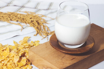 Fresh milk in a glass on a stick and cereal and ears of rice white background