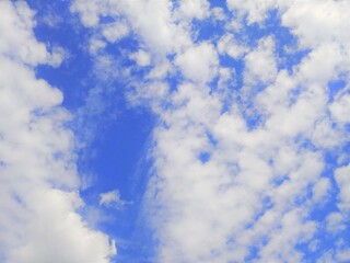 早秋の羊雲