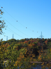 cable car on mountain