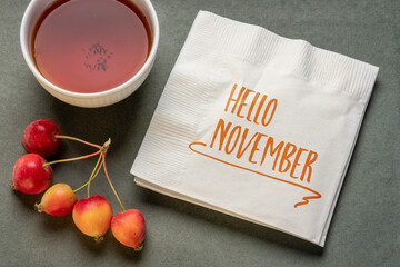 Hello November handwriting on a napkin with a cup of tea and a bunch of crab apples, seasonal...