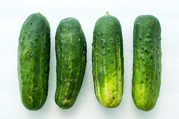 Four bumpy pickling cucumbers arranged in a row on a textured glass cutting board surface.