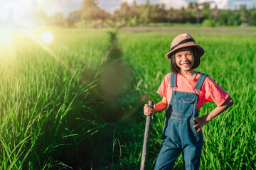 Children sitting on organic rice field on sunny of daytime