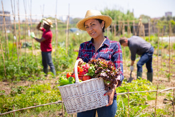 Young woman gardener holding basket with harvest of fresh vegetables in rural