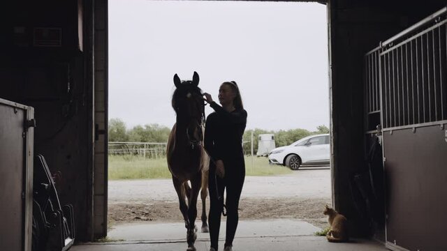 Woman Walking With Horse Through Stable And Into Stall