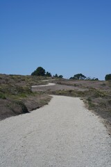 trail in the park