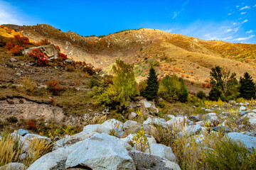 rocky mountain landscape