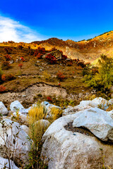 mountain river in the mountains