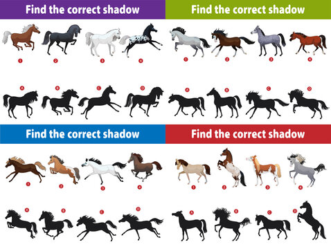 A set of 4 different games for toddlers. Find the correct horse shadow. Vector illustration