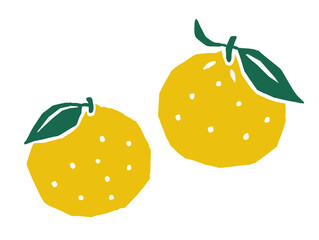 柚　レトロなベクターイラスト