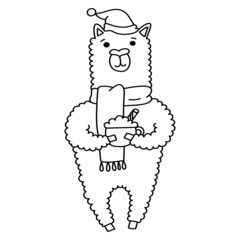 alpaca