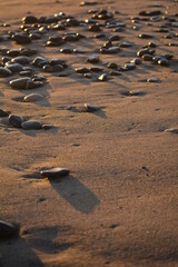 piedras en la arena