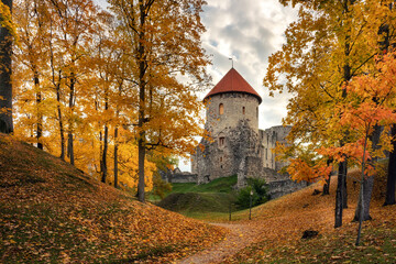 Obraz premium Autumn color. Leaves. Cesis. Latvia. 
