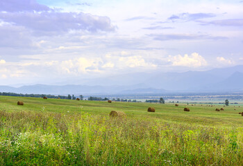 Fototapeta premium Uymon valley in the Altai mountains