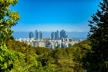 Jang mountain scenery in Busan - obrazy, fototapety, plakaty