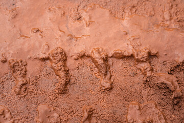 Dirt terrain road with wheel track on wet muddy surface. Transportation and road way, background and texture photo. Selective focus at the center part.
