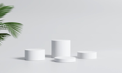 White product display podium with nature leaves. 3D rendering