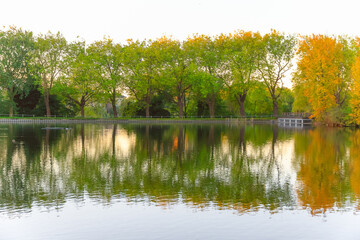 Pond side walking path at Hampstead Heath in London during autumn