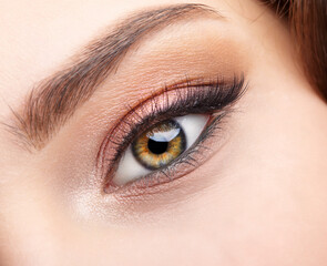Closeup macro shot of  human female eye with  pink  eyes shadows