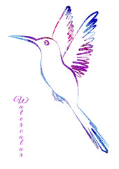Artistic Watercolor multicolor bird in the style of line art wedding theme on a white background. Watercolour Doodle and scribble colorful silhouette hummingbird with spread wings. Blue, red, violet