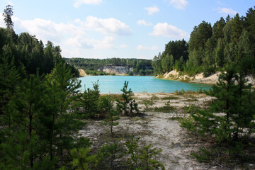 Trees grow on the banks of the turquoise lake