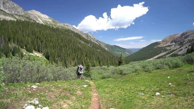 Hiking on Sunny Summer Day, Back View of Female HIker With Backpack on Trail in Green Landscape of Rocky Mountains, Colorado USA, Full Frame 60fps